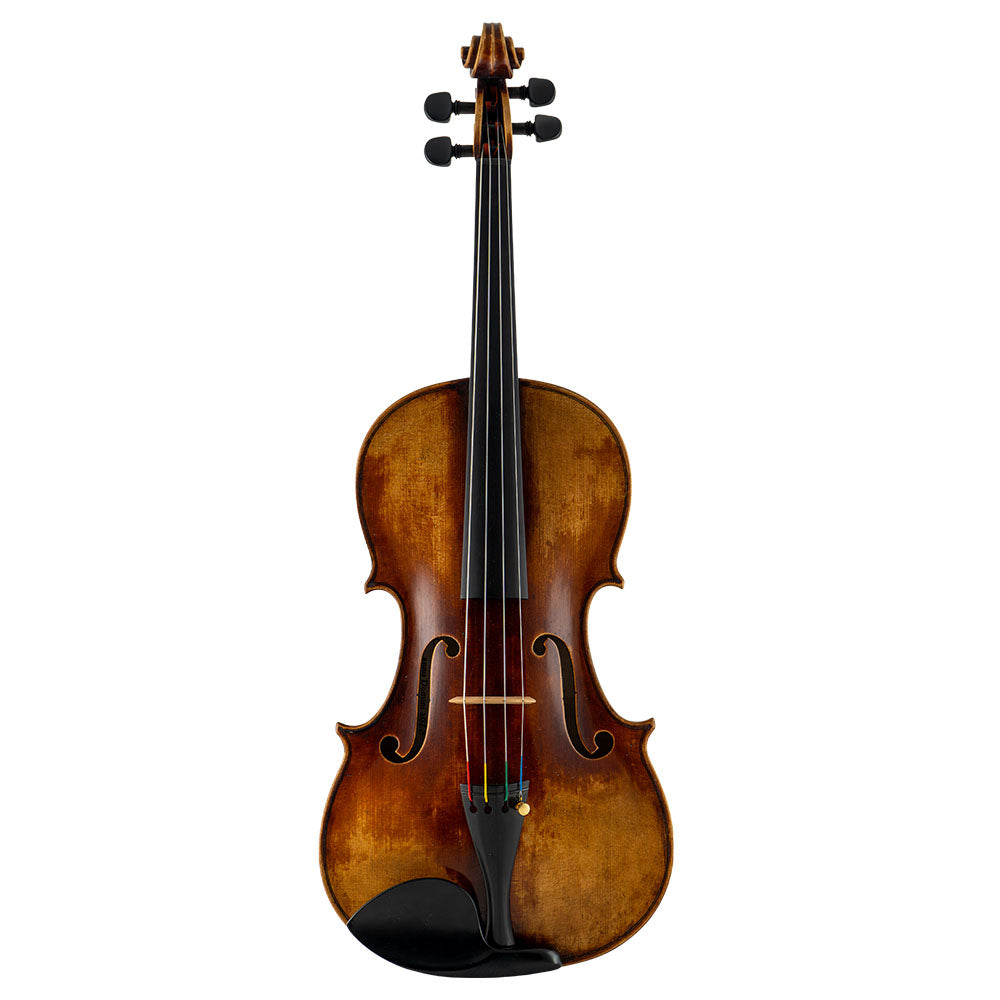 Catalin Quercinola Viola, Eudora, 2018, 15 7/8"