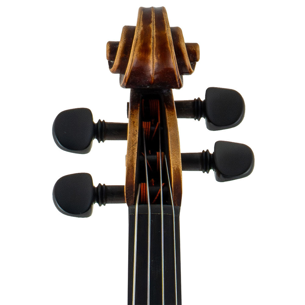 Catalin Quercinola Viola, Eudora, 2018, 15 7/8"