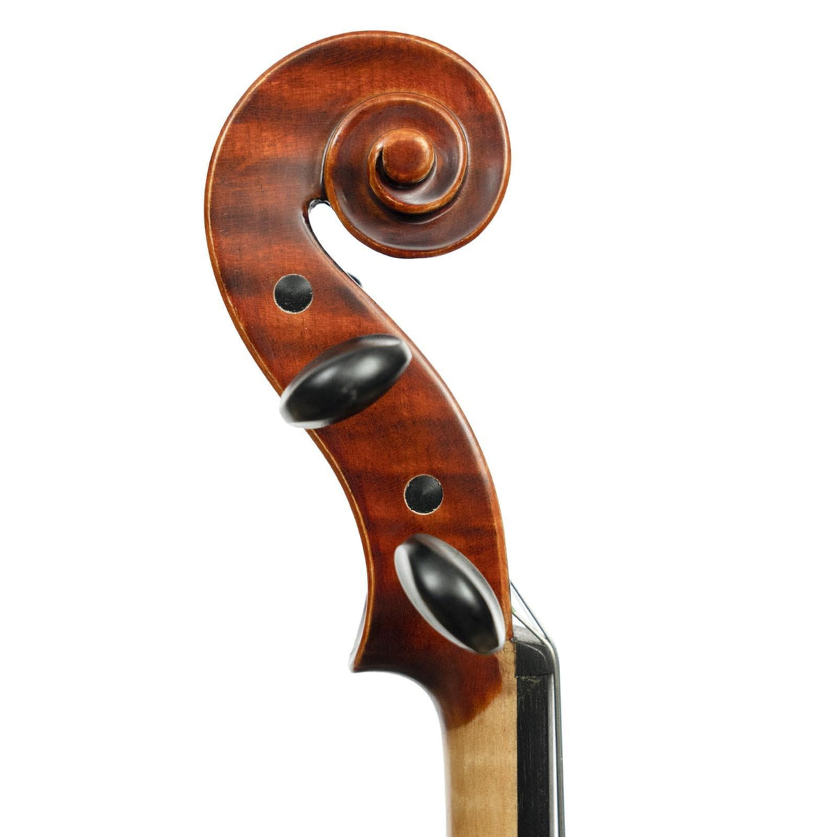 Franz Hoffmann Maestro Violin - 4/4 Size