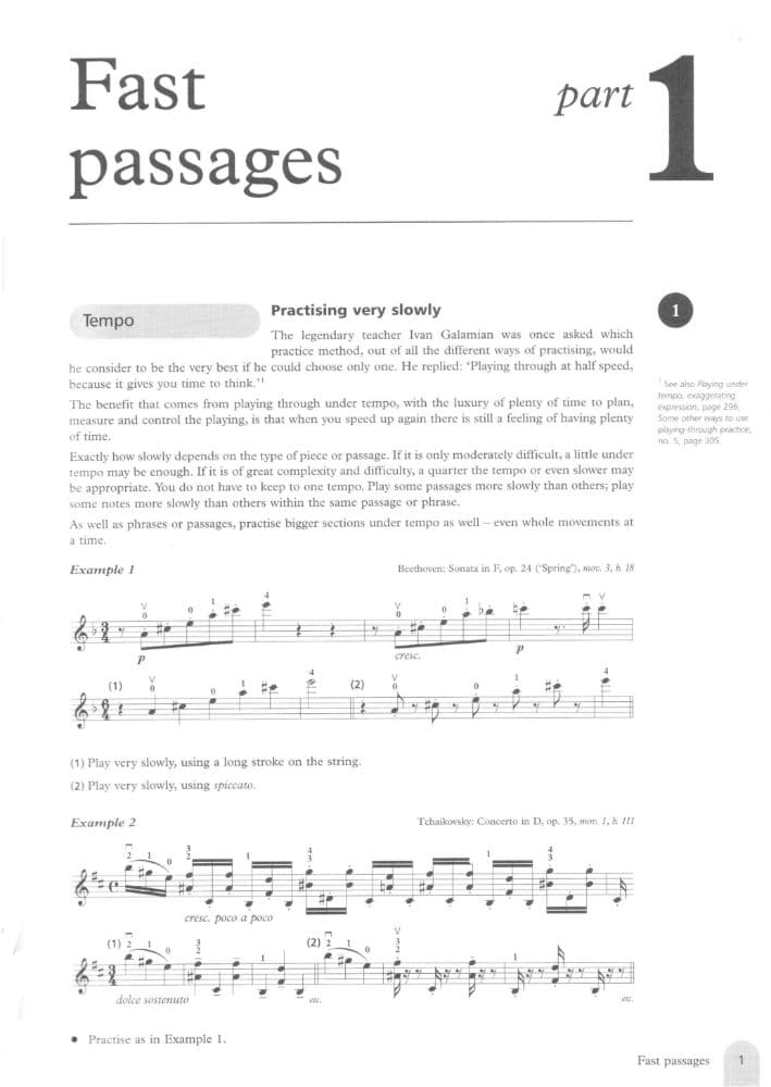 Fischer - Practice: 250 Step by Step Practice Methods for the Violin. Peters Edition.