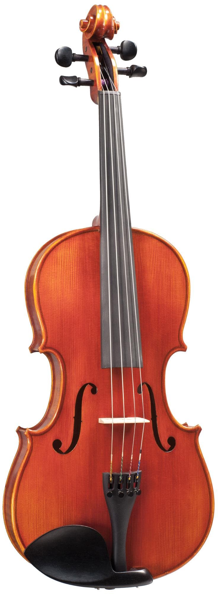 Blemished Hoffmann Concert Viola