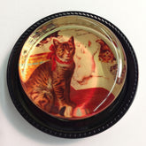 Magic Rosin Ultra Rosin Vintage Cats